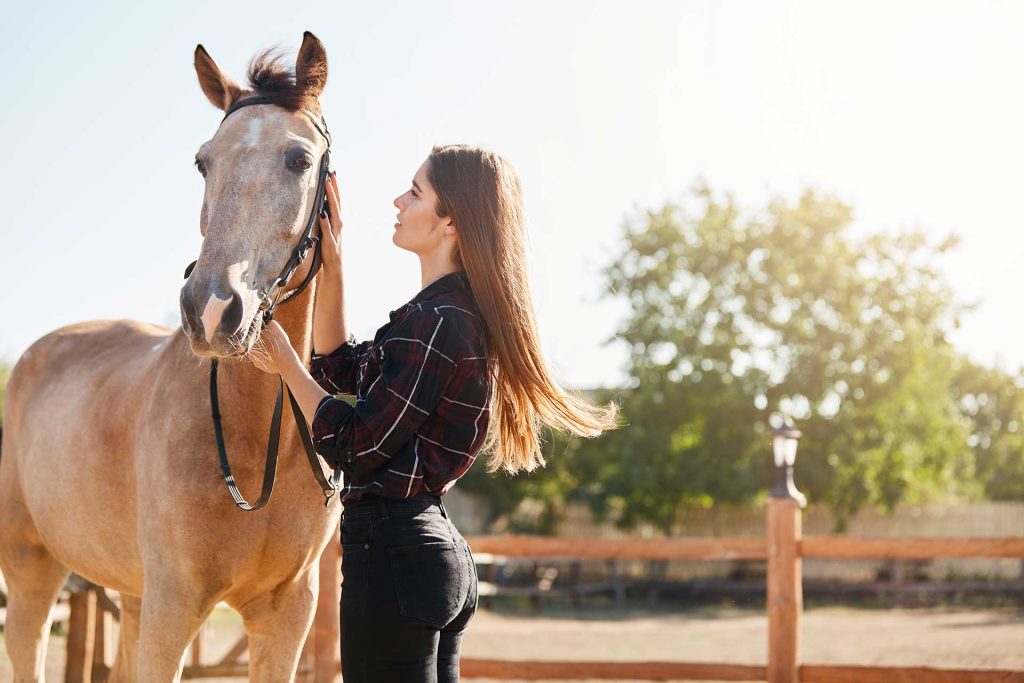 Horse Ride